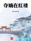 夺嫡在红楼