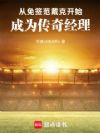 从免签范戴克开始,成为传奇经理
