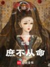 红楼:庶不从命