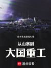 从山寨到大国重工
